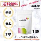 大豆イソフラボンと乳酸菌から生まれたエクオール エクエル パウチタイプ 120粒 大塚製薬