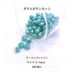 Yahoo! Yahoo!ショッピング(ヤフー ショッピング)ガラスビーズ ボタンカット（3×4mm）約67個入 （ターコイズシャイン）