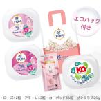 ギフトセット 洗濯洗剤 ジェル ボール型 アフューム アモーレ ローズ カーポッド 収納ケース本体 ギフト 贈り物 使い比べ 120粒