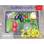 旬の野菜セット80（8〜10種）