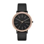 スカーゲン　Skagen ladies' SKW2490 Black Watch　レディース腕時計 並行輸入品