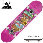 トイマシーンスケートボードコンプリ...