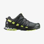 サロモン SALOMON XA PRO 3D v8 GTX Urban Chic/Bk [サイズ：27.5] [カラー：URBAN CHIC/BLACK/LIME PUNCH] #L41118000