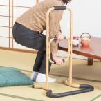 手すり 立ち座りサポート 補助 転倒防止 立ち上がり 手摺り 高齢者 シニア 自立型 3段 玄関 トイレ 寝室 介護用品 耐荷重80kg 安心設計 軽量 スチール製
