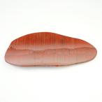 【アウトレット】漆器 茶托 26×15.5cm 銘々皿 小皿 漆塗り 天然木 6-1