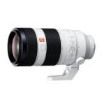 FE 100-400mm F4.5-5.6 GM OSS