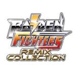 [2026年02月26日発売予約][ニンテンドースイッチ ソフト] ライデン ファイターズ リミックスコレクション 特装版 [17MO-00001]