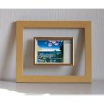 トーマス・マックナイト  透明フレーム　　18522・コーべキタノ