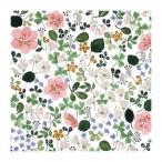  The vi - Nami ni Max Anna Emilia очки ..1 листов AE-1