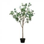 81022 поддельный tree эвкалипт 