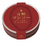 響 宮崎マンゴー生キャラメル 12粒×60個