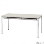 藤沢工業(TOKIO)　ミーティングテーブル　TDWS-1260TM ニューグレー