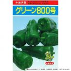 小林種苗 ピーマン種子 グリーン800号　7217　20ml