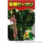 小林種苗 ピーマン種子 王様ピーマン(グリーン500号)