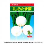 小林種苗 カブ種子 耐病しらたま　8　1dl