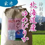 29年産　特別栽培米 北海道新すながわ　ゆめぴりか　玄米　5kg