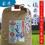 29年産　無農薬米　コウノトリ呼び戻す農法米　福井産コシヒカリ　オーガニック　玄米　2kg