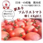 ＜訳あり＞ 野菜 トマト 受賞歴３回！(3)訳ありソムリエトマト4.5〜5.5kg ダイヤ 産地直送