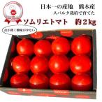 野菜 トマト 受賞歴3回ソムリエトマト約2kg(8玉〜16玉) 産地直送