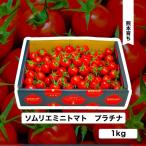 ショッピング野菜 野菜 トマト 送料込(3)ソムリエミニトマト　プラチナ1kg（60から90玉） 産地直送