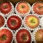 ショッピングわけあり 販売期間2024/05/20まで ＜訳あり＞ 果物 りんご 青森県産りんご サンふじ CA冷蔵品　大わけあり品 約3kg 産地直送