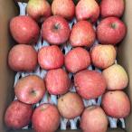ショッピングりんご 販売期間2024/05/30まで 果物 りんご わけあり 青森県産りんご 有袋ふじ 加工用 10kg以上 産地直送