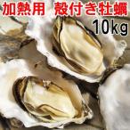 魚介類 牡蠣 生牡蠣10kg 松島牡蠣屋 殻付き 牡蠣 殻付き宮城県産 産地直送