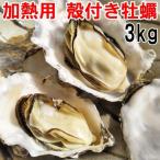 魚介類 牡蠣 生牡蠣3kg(約36粒) 殻付き 牡蠣 殻付き松島牡蠣屋 産地直送
