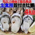 ショッピング牡蠣 魚介類 牡蠣 生食用 牡蠣殻付き 牡蠣 ４ｋｇ（約50粒）松島牡蠣屋 牡蛎 産地直送