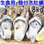 魚介類 牡蠣 冷凍牡蠣 生食用 牡蠣殻付き 牡蠣 8kg(約90粒) 産地直送