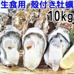 魚介類 牡蠣 生食用 牡蠣殻付き 牡