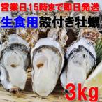 魚介類 牡蠣 生食用殻付き牡蠣 ３ｋｇ（約27個）牡蠣殻付き松島牡蠣屋牡蛎 産地直送