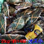 魚介類 カニ ワタリガニ オス小サイズ２ｋｇ（約14杯） 渡り蟹 ガザミ 産地直送