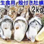 魚介類 牡蠣 生牡蠣生食用 牡蠣殻付き 牡蠣 2kg(約26粒)松島牡蠣屋 産地直送