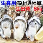 魚介類 牡蠣 生食用 牡蠣殻付き 牡