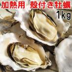 魚介類 牡蠣 牡蠣１ｋｇ（約12粒） 