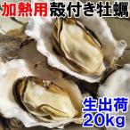 魚介類 牡蠣 牡蠣20ｋｇ（約240粒）殻付き 牡蠣 殻付き松島牡蠣屋牡蛎 産地直送