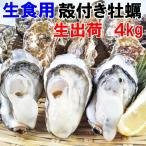 魚介類 牡蠣 生牡蠣生食用 牡蠣殻付き 牡蠣 4kg(約50粒)松島牡蠣屋 産地直送