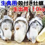 魚介類 牡蠣 生牡蠣生食用 牡蠣殻付き 牡蠣 10kg 松島牡蠣屋 産地直送