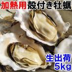 魚介類 牡蠣 生牡蠣5kg(約60粒) 殻付き 牡蠣 殻付き松島牡蠣屋 産地直送
