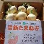 販売期間2025/05/20まで <訳あり> 野菜 玉ねぎ SALE【正品+訳あり品・混合】淡路島 新玉ねぎ!5kg 産地直送