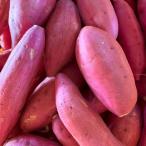 野菜 さつまいも 【 サイズ混合(S〜L) あまはづき 】千葉県産 さつまいも 産地直送