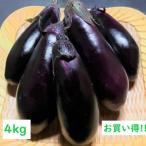 ショッピング訳アリ 野菜 茄子 【訳アリ】南国高知でつくった高知なす 4kg 産地直送