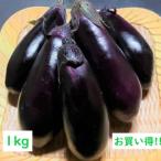 野菜 茄子 【訳アリ】 南国高知でつくった高知なす 1kg 産地直送