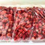 果物 いちご いちご農家直送ヘタなし【冷凍いちご500g×1袋】 産地直送