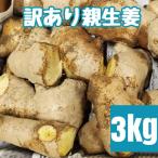 野菜 薬味 訳あり土付き親生姜 3kg 産地直送