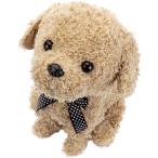 セガトイズ(SEGA TOYS) ココ さかだちして アプリコット　プレゼント　男の子　女の子　クリスマス