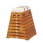  мелкие сколы от камней коробка мелкие сколы от камней коробка маленький размер 8 уровень ( руководство линия входить ) EKF304 гимнастический конь мелкие сколы от камней ..eba новый EVERNEW