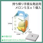 リッチメロン 1ヶ入 10�