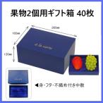 ショッピングシャインマスカット アラカルト No.2 紺 40枚セット AA7302 マンゴー ぶどう シャインマスカット 桃 等 2ヶ入れ用 中敷き付き 汎用 ギフト箱 箱のみ アラカルト No.2 オリカ